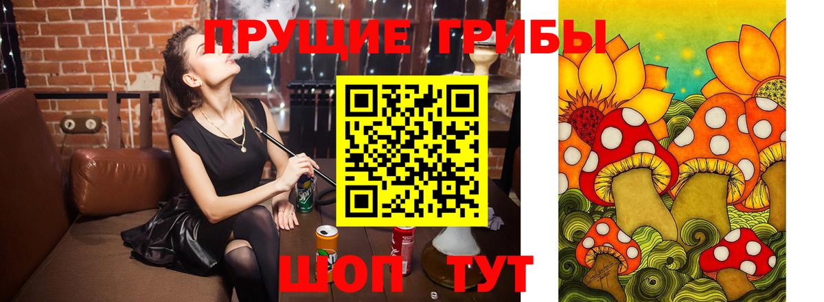 Псилоцибиновые грибы мухоморы  Псилоцибиновые грибы Cubensis  Кировск  Вход с VPN 