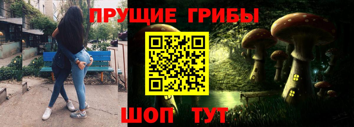 Псилоцибиновые грибы Psilocybe Кировск